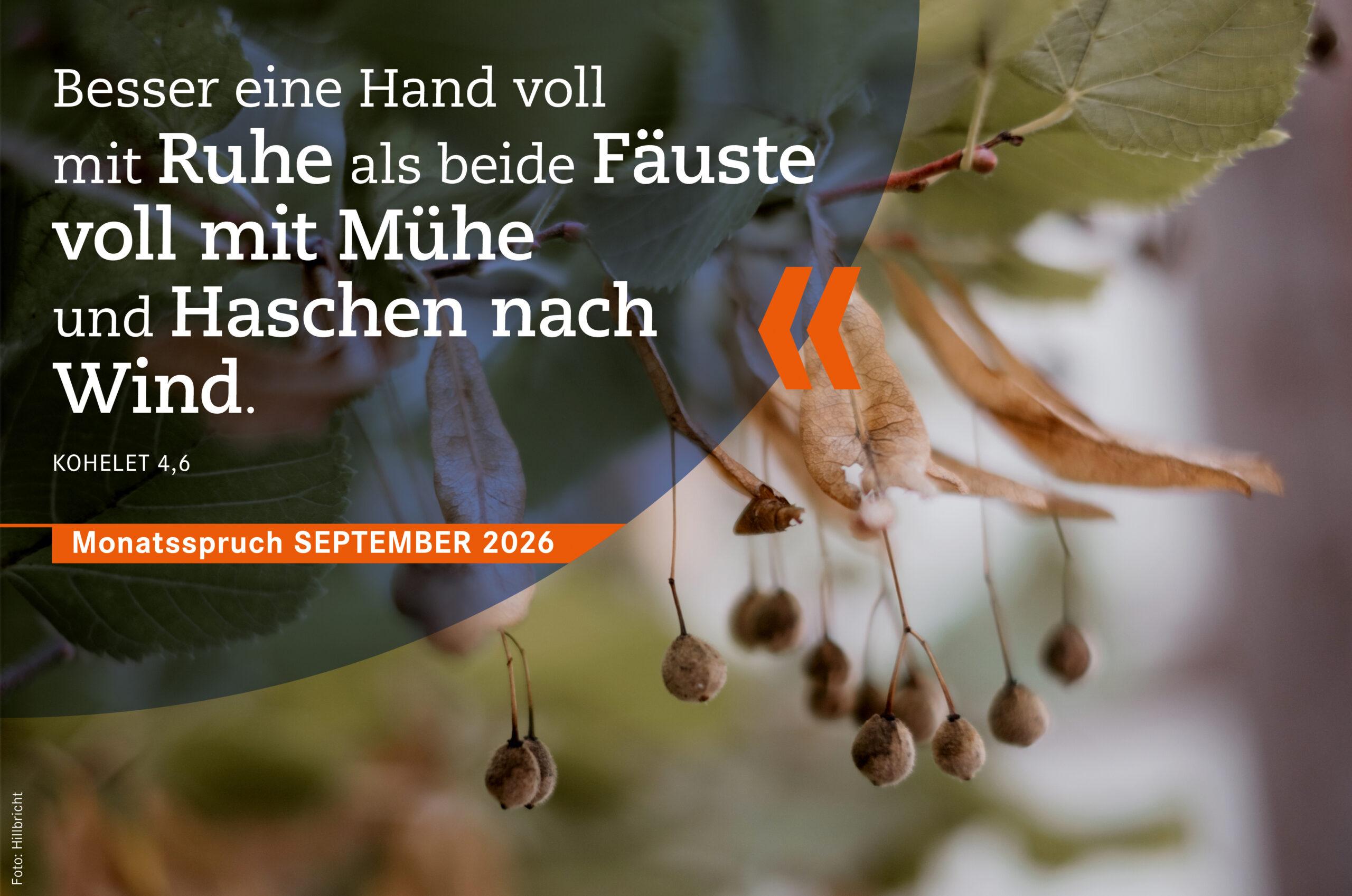 März 2026